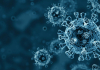 Coronavirus: sono 6.615 i domini IT registrati nel 2020