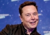 Elon Musk sospende l'acquisizione di Twitter