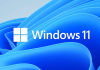 Windows 11: WSL diventa un'applicazione